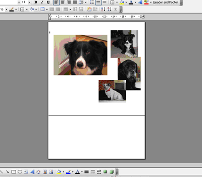 multiphoto layout screenshot